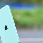 EugeneEdge / shutterstock.com